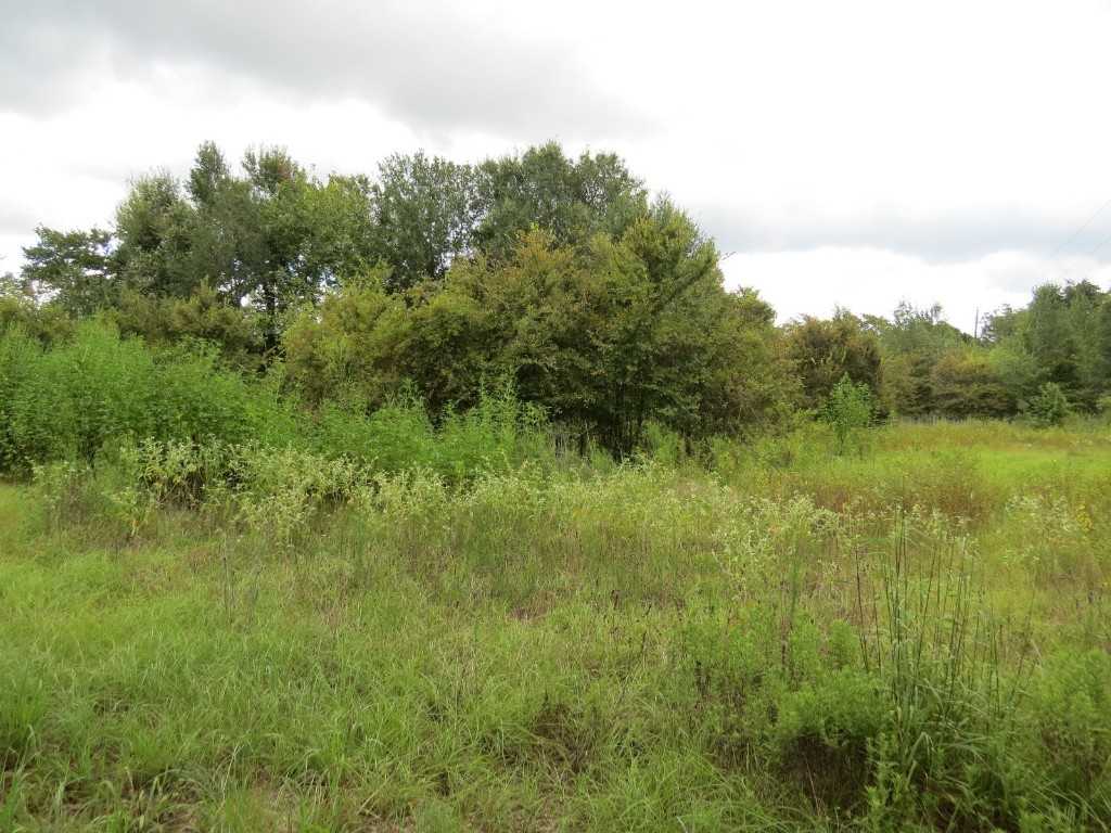 photo 3: TBD Private Road 7054, Gause TX 77857