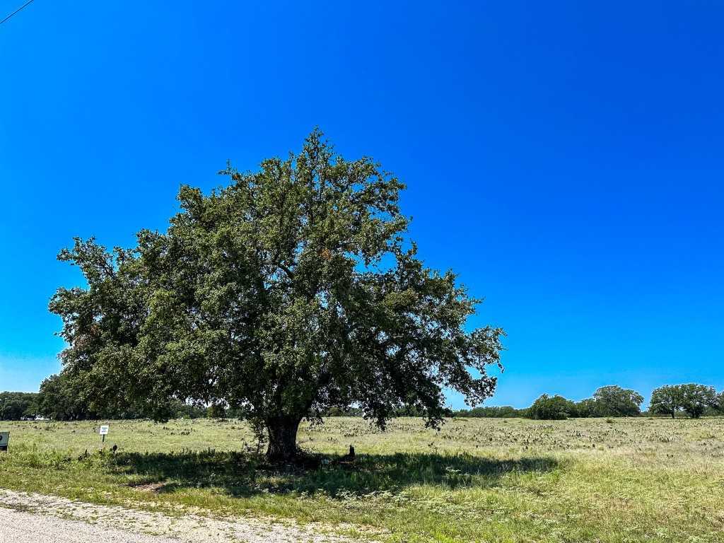 photo 2: Lot 106 N Waterbuck Way, Lampasas TX 76550