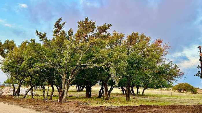 photo 2: 101 Private Road 1294 Unit Lots 11-20 Phase 1, Lampasas TX 76550