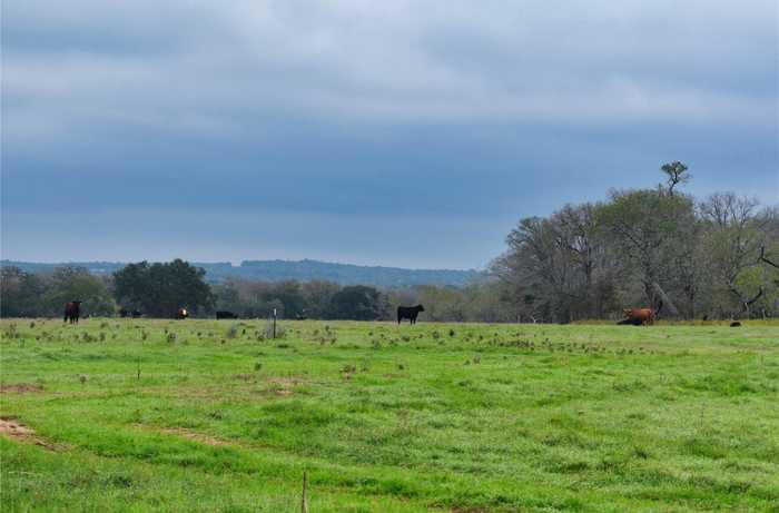 photo 2: Tenney Creek Road, Luling TX 78648