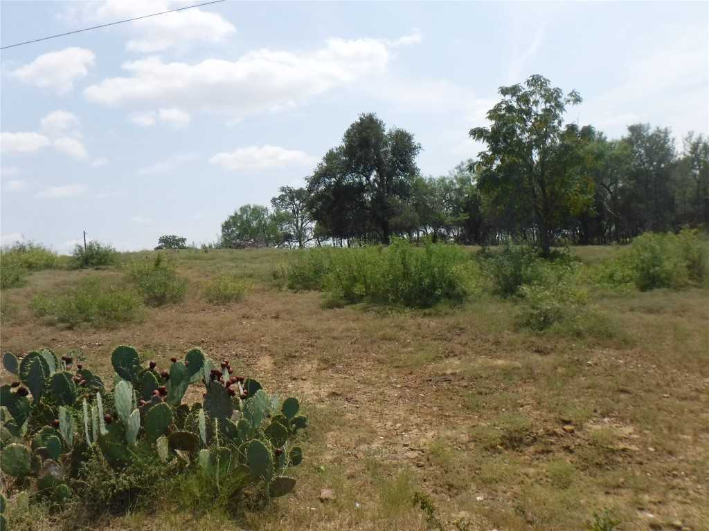 photo 3: FM 1704, Elgin TX 78621