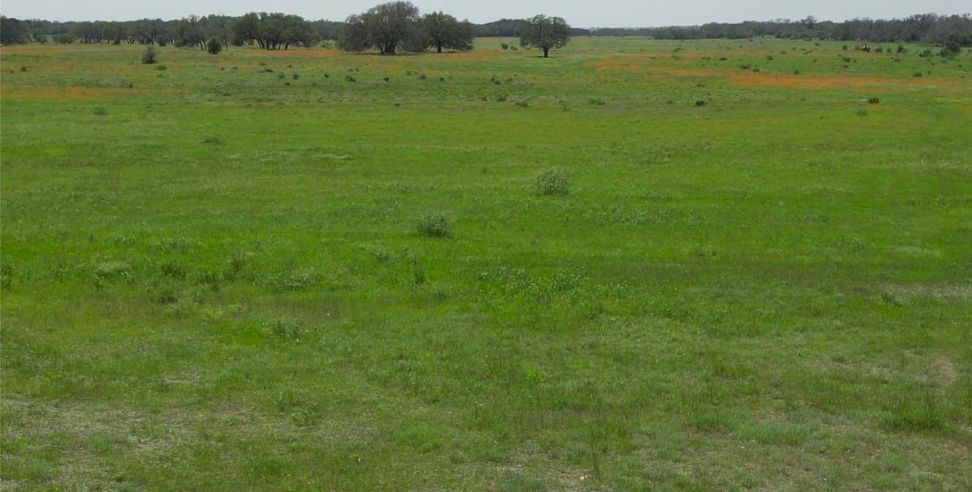 photo 2: tbd CR 103, Lampasas TX 76550