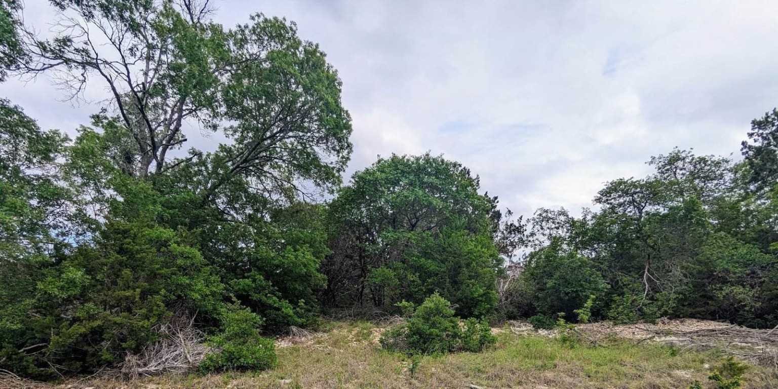 photo 3: County Rd 250, Burnet TX 78611