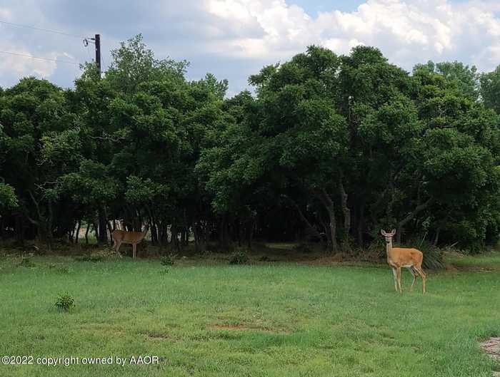 photo 3: 155 Sadie Drive, Howardwick TX 79226