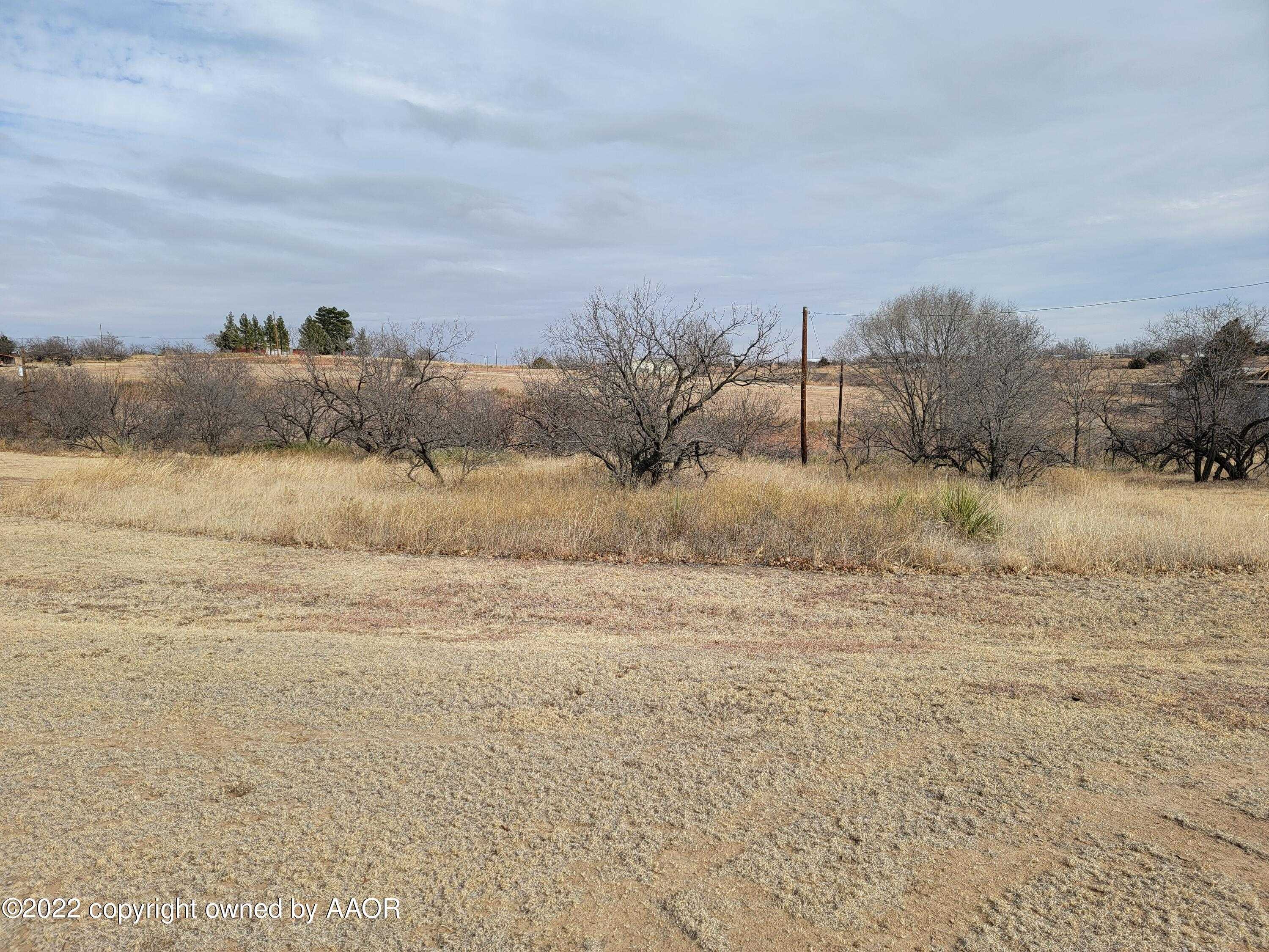 photo 1: 110 Trout, Howardwick TX 79226