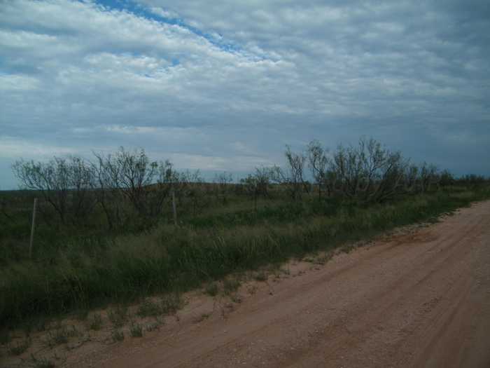 photo 2: Gold Rd (x2 40 acre tracts), Valle de Oro TX 79010