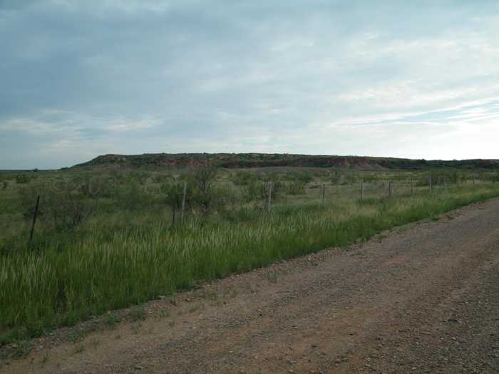 photo 25: Gold Rd (x2 40 acre tracts), Valle de Oro TX 79010