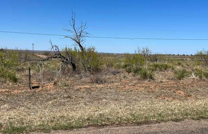 photo 2: Lot 46 Lakeview Drive, Fritch TX 79036