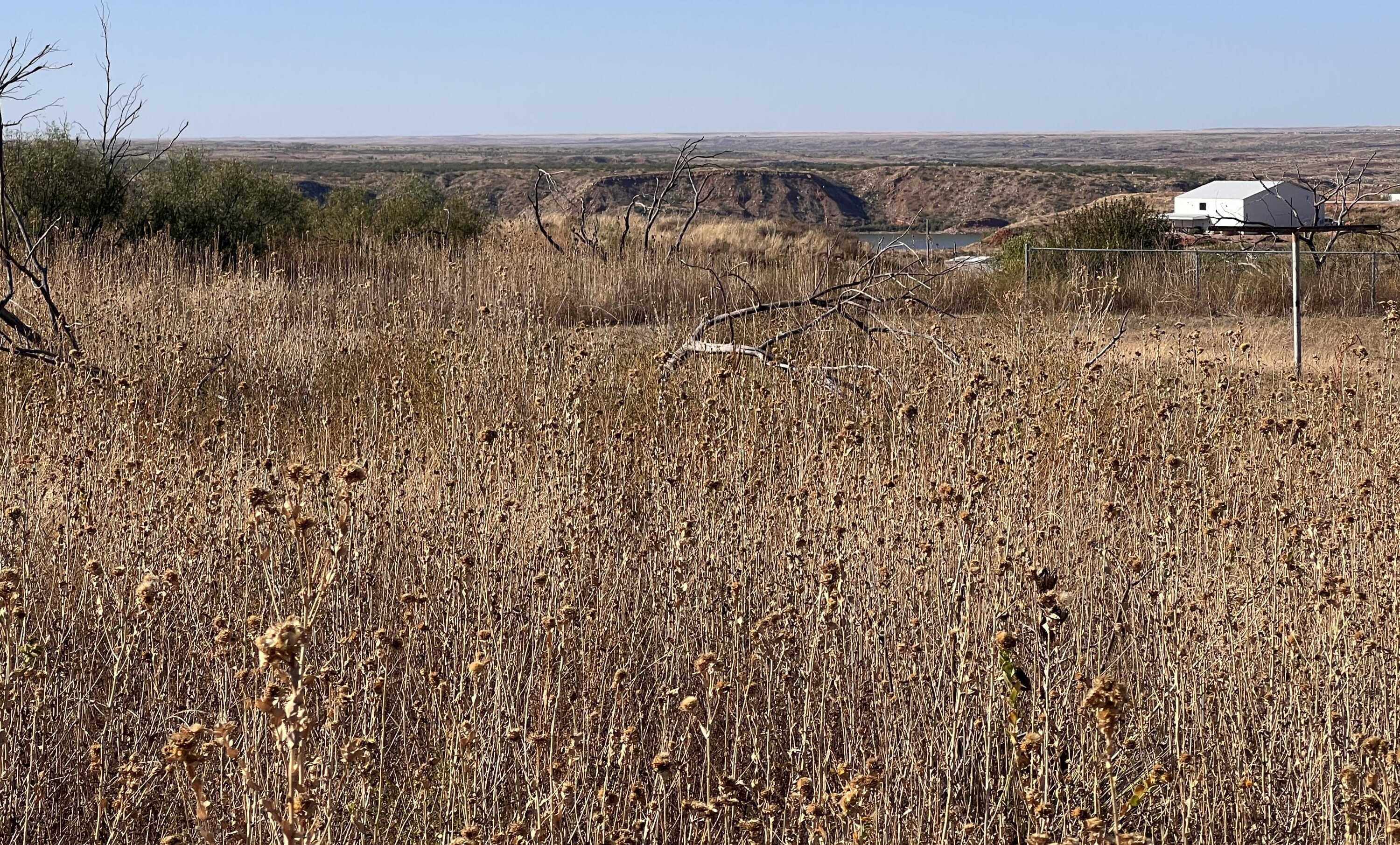 photo 2: 223 Boat Ramp Road, Fritch TX 79036