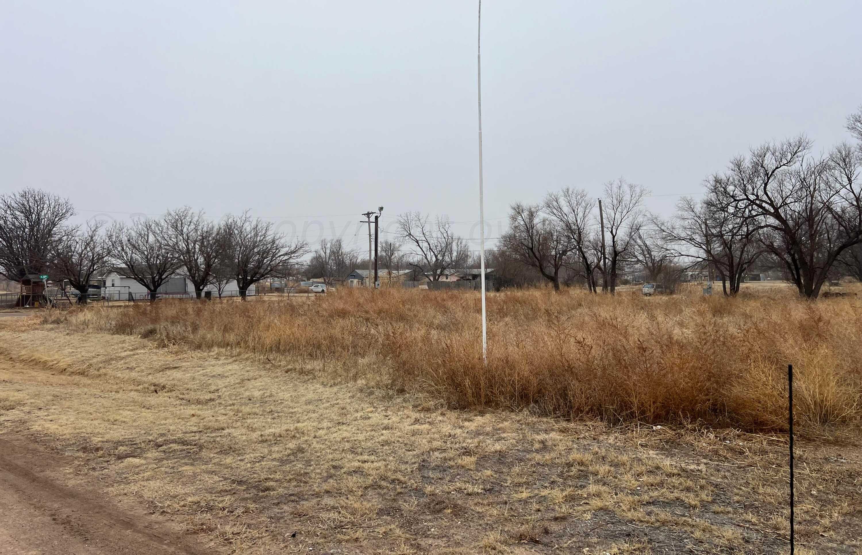 photo 3: Lot 29 Debra Lane, Fritch TX 79007