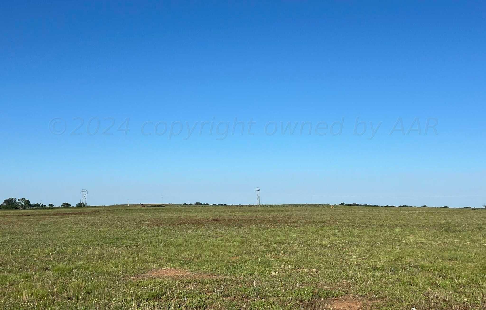 photo 3: 31.37 acre TBD US Hwy 83, Wellington TX 79095