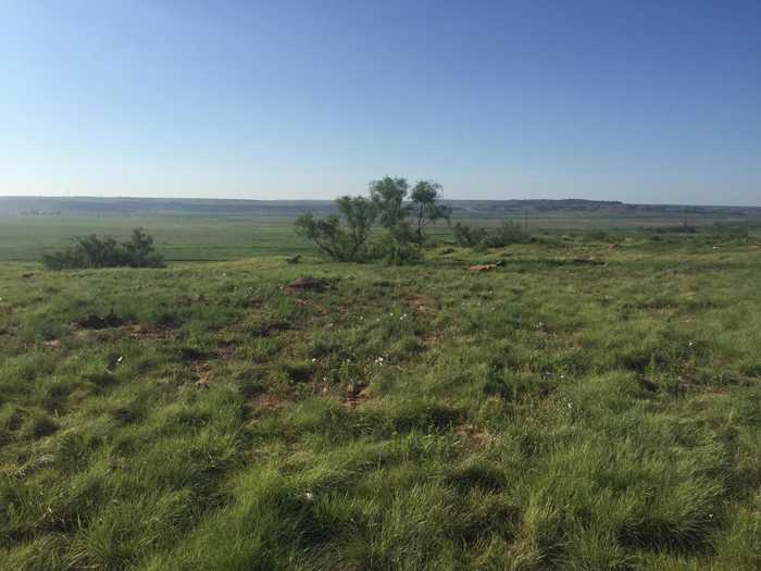 photo 1: 501 Hill Top - Tract 13, Boys Ranch TX 79010