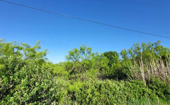 photo 2: 225 Ten Bears Trail, Howardwick TX 79226