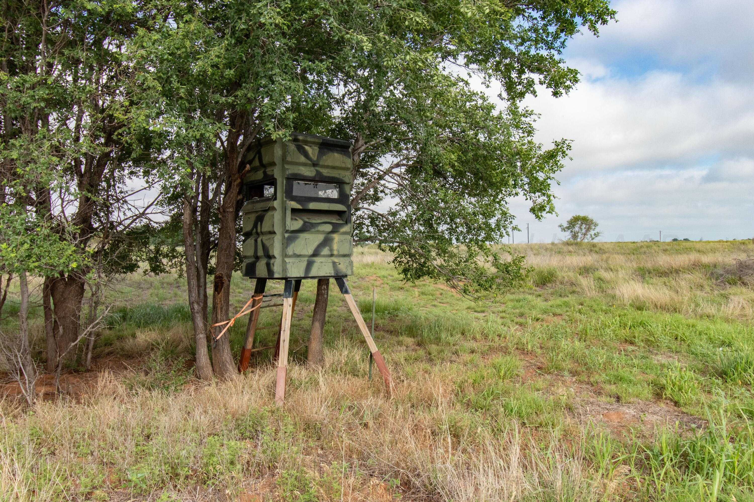 photo 2: Spring Creek 320 Ac, Memphis TX 79245