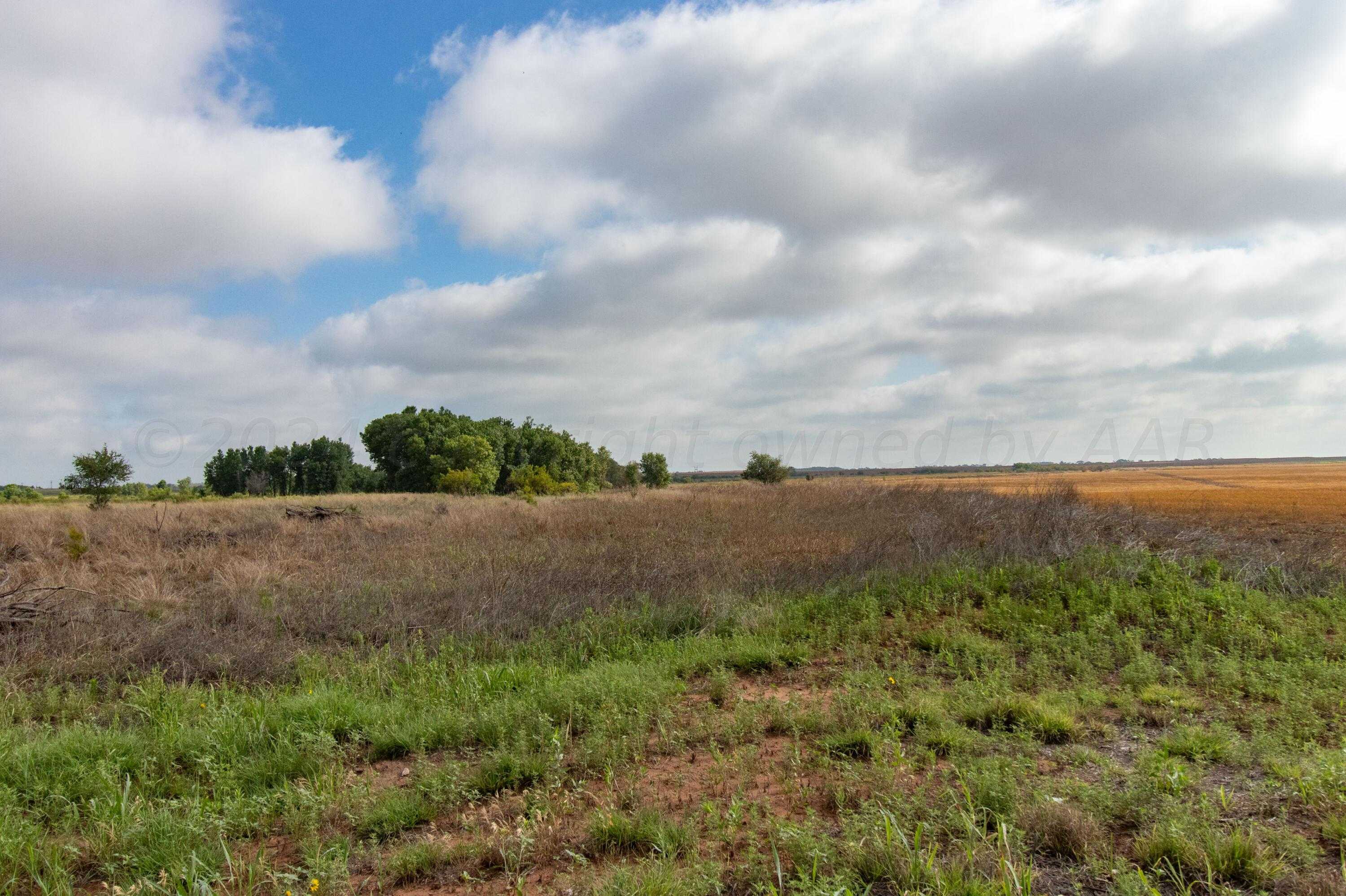 photo 3: Spring Creek 320 Ac, Memphis TX 79245