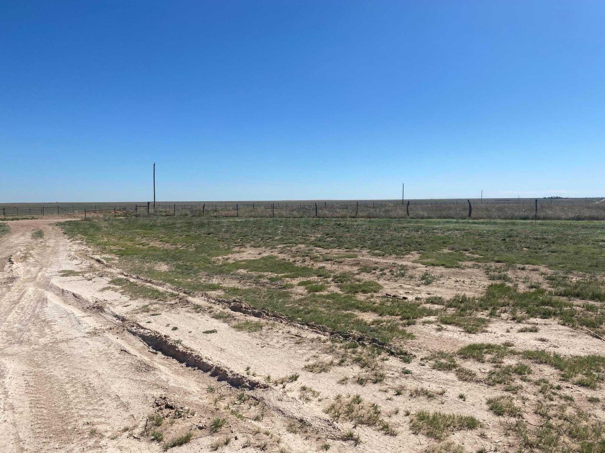 photo 2: East High Lonesome Road, Dalhart TX 79022