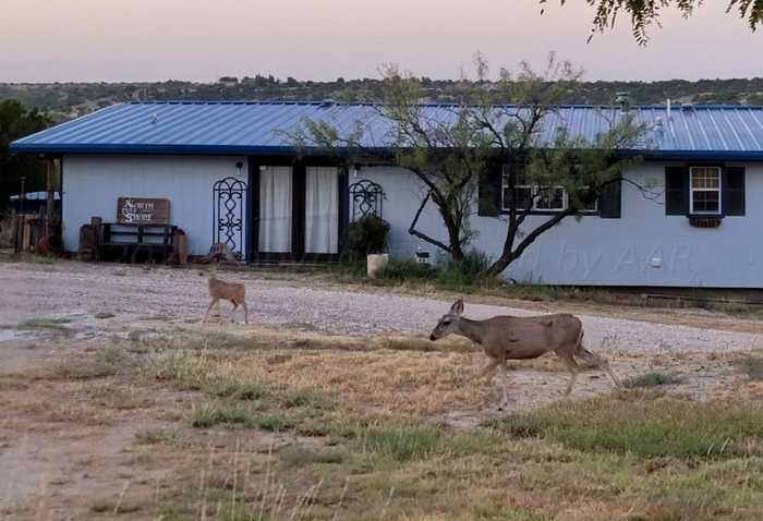 photo 1: 119 Arroya Drive, Silverton TX 79257