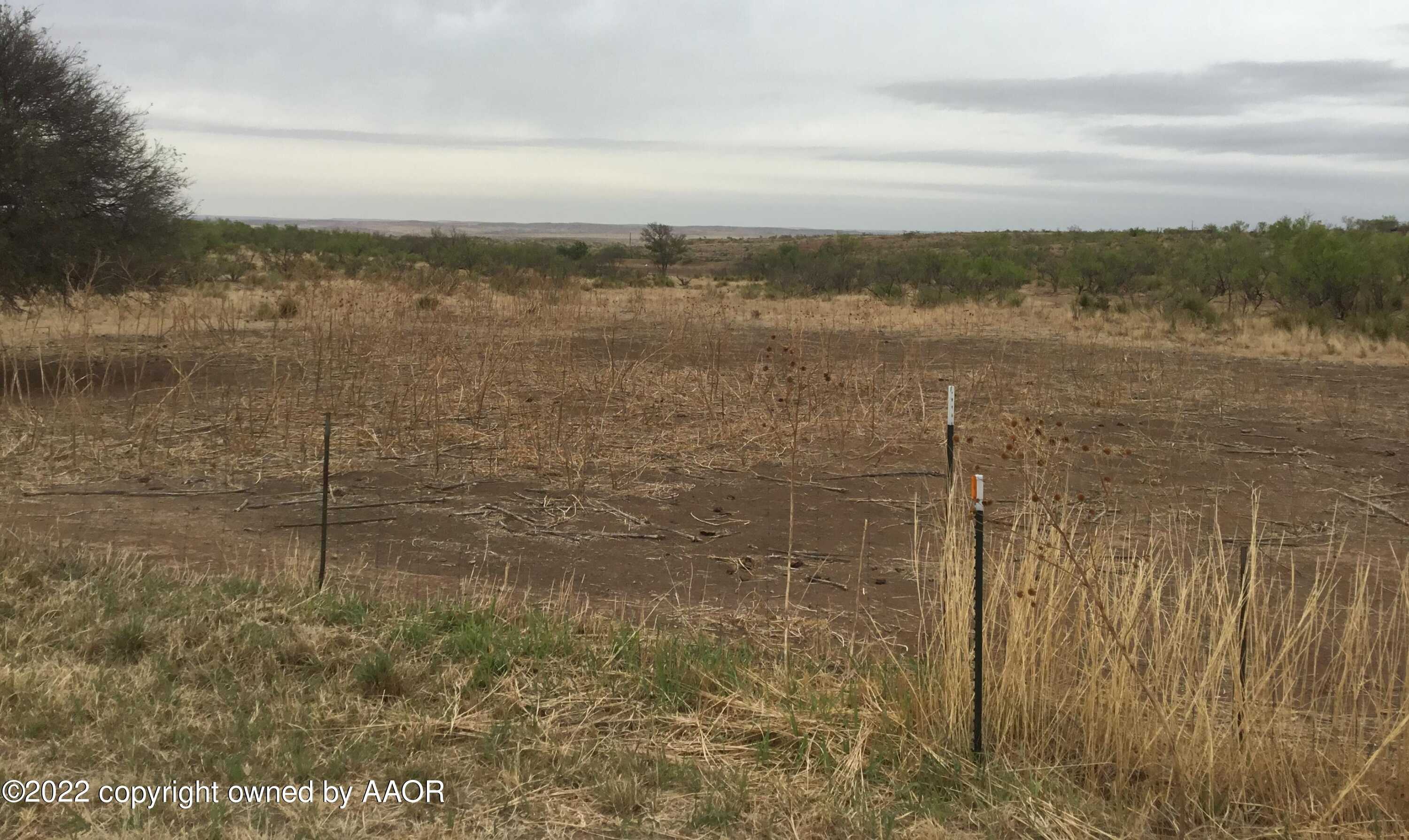 photo 3: OLE MUDDY Road, Valle de Oro TX 79124