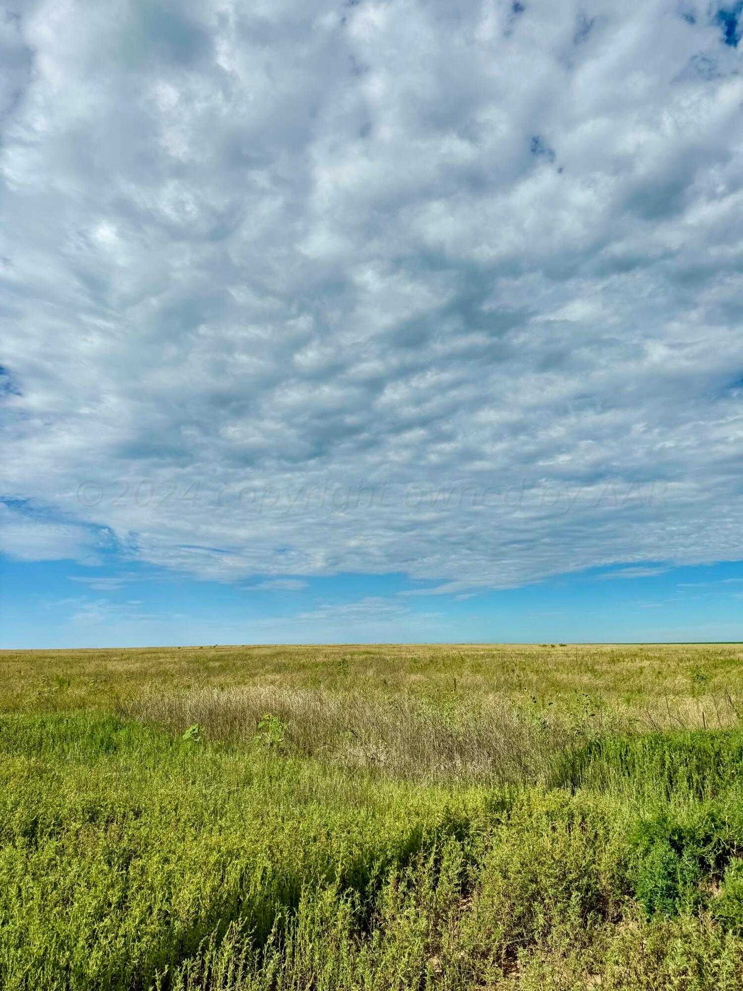 photo 2: County Road 2, Stratford TX 79084