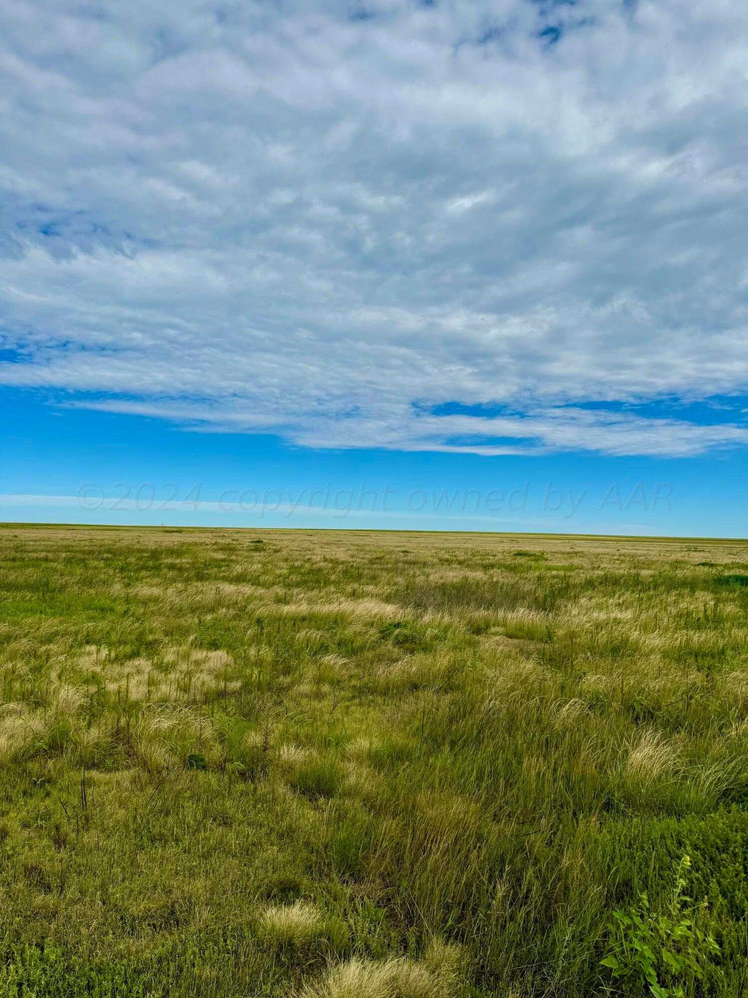 photo 3: County Road 2, Stratford TX 79084