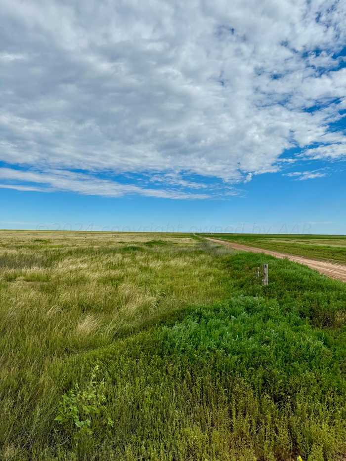 photo 4: County Road 2, Stratford TX 79084