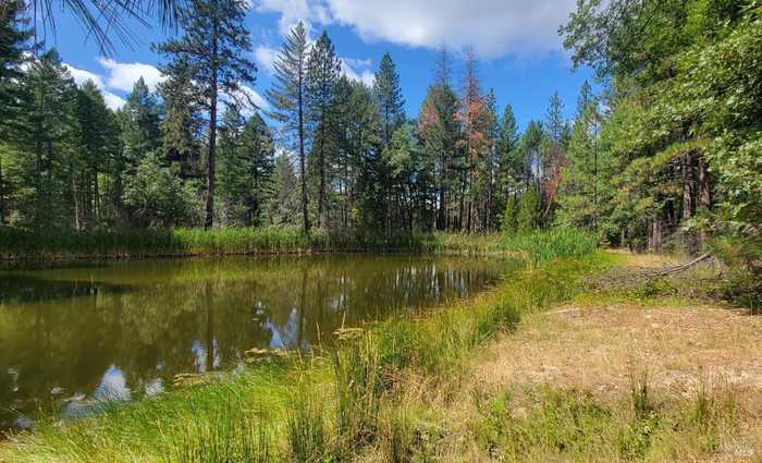 photo 2: 995 Bear Creek Rd, Upper Lake CA 95485