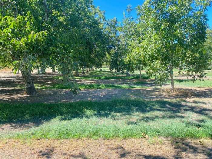 photo 1: County Road 92F, Winters CA 95694