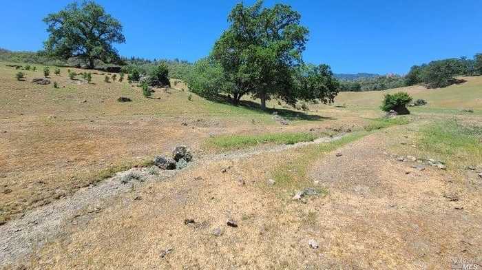 photo 19: 23100 Poonkinney Rd, Covelo CA 95428