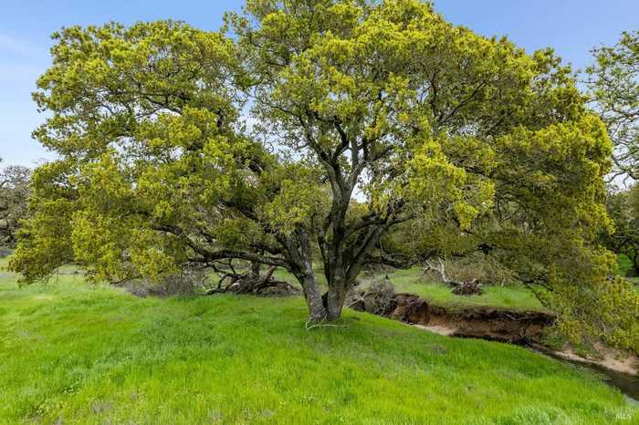 photo 26: Highway 12, Napa CA 94558