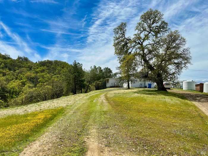 photo 1: 4211 Black Bart Trl, Redwood Valley CA 95470