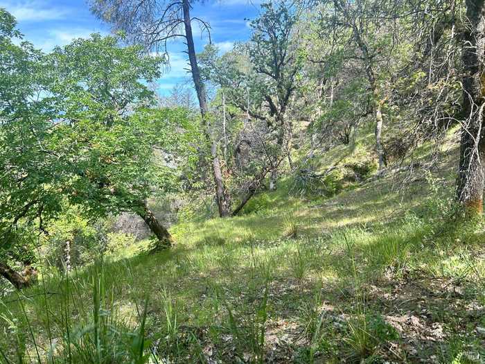 photo 2: 29500 Eel River Ranch Rd, Covelo CA 95428