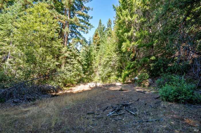 photo 20: 0 Low Gap Rd, Ukiah CA 95482