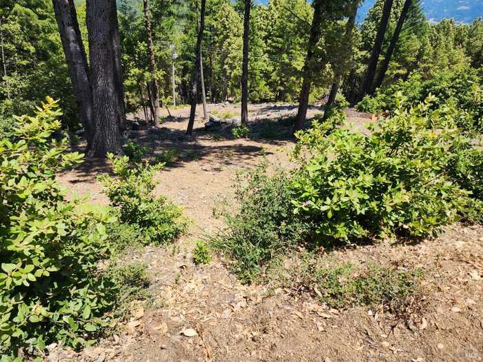 photo 1: 4350 Cahto Peak Dr, Branscomb CA 95417