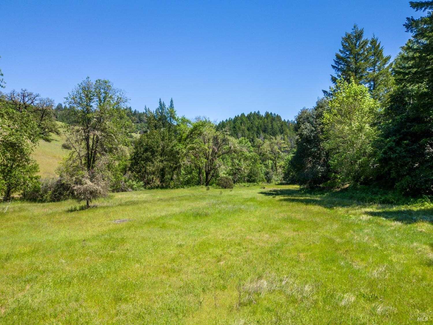 photo 3: Tomki Rd, Redwood Valley CA 95470