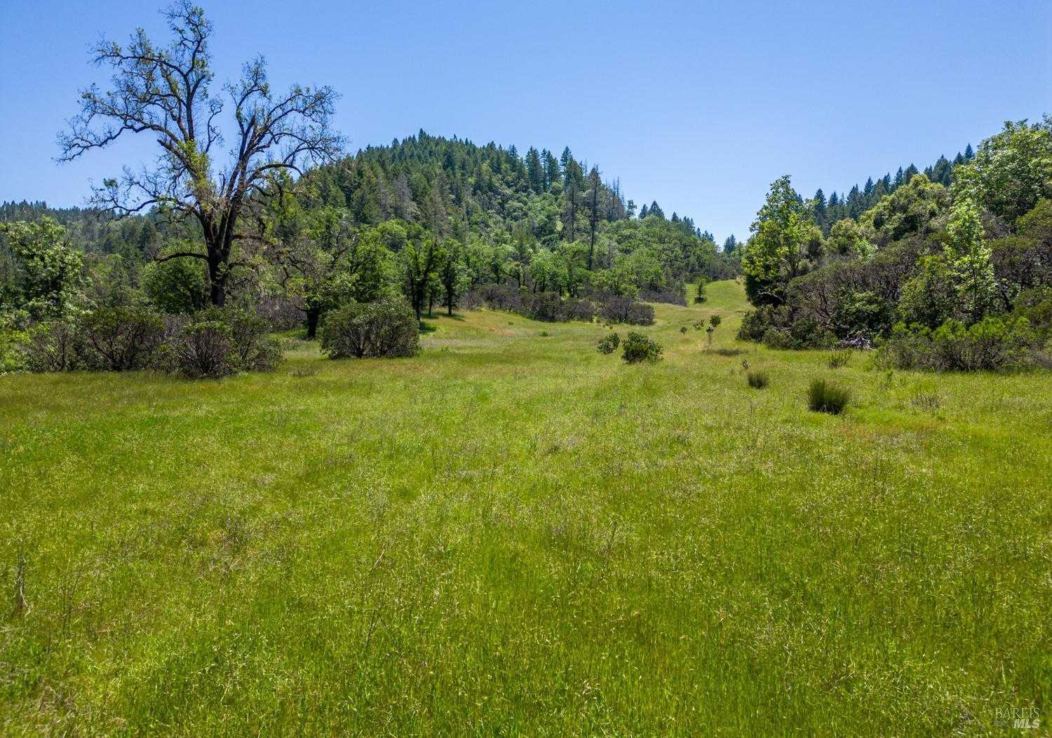 photo 1: Tomki Rd, Redwood Valley CA 95470