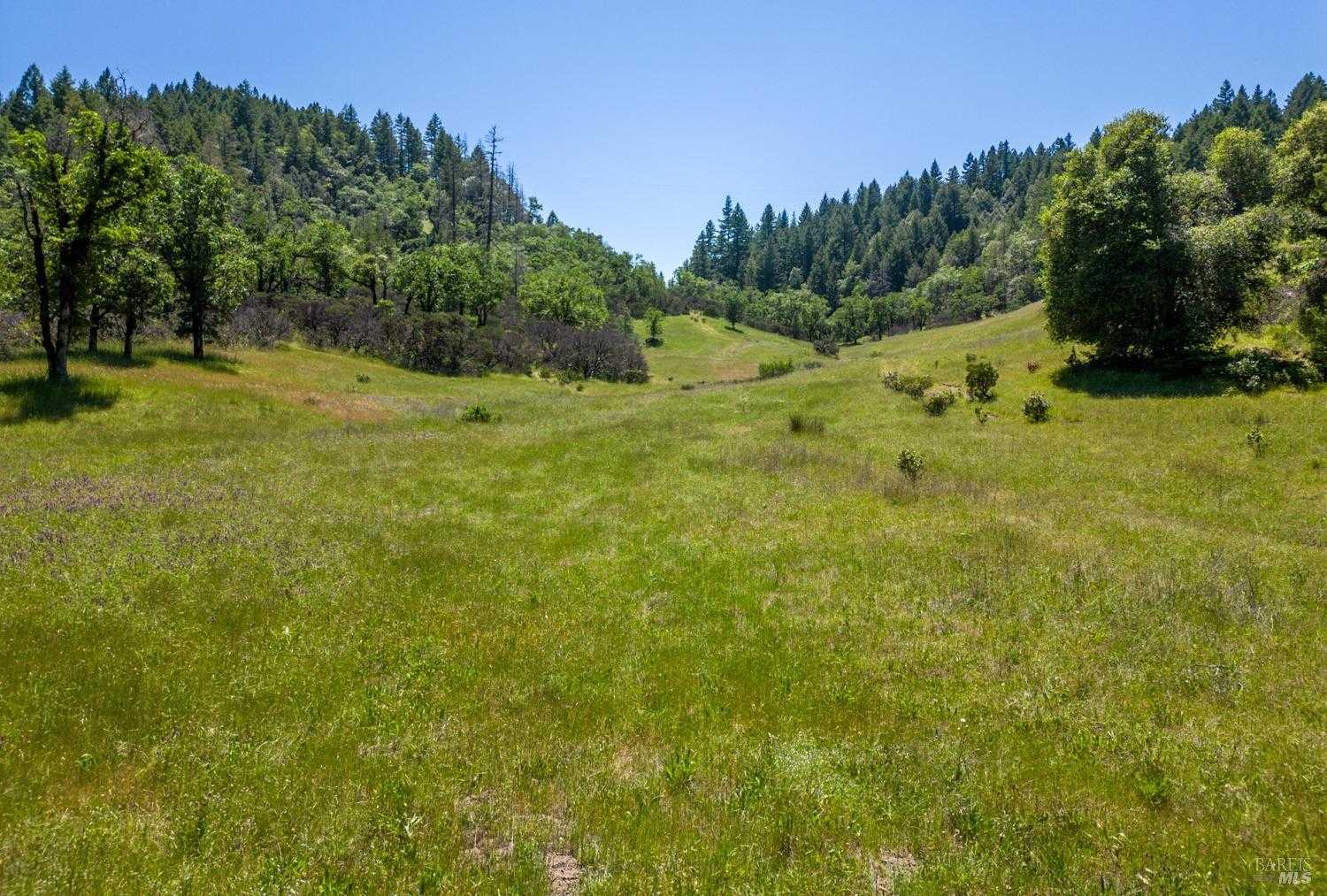 photo 2: Tomki Rd, Redwood Valley CA 95470