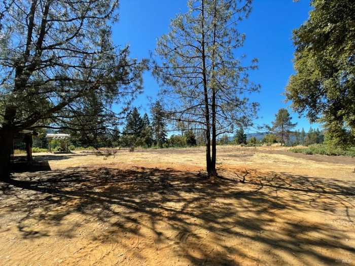 photo 1: 1200 Deer Trail Dr, Leggett CA 95585