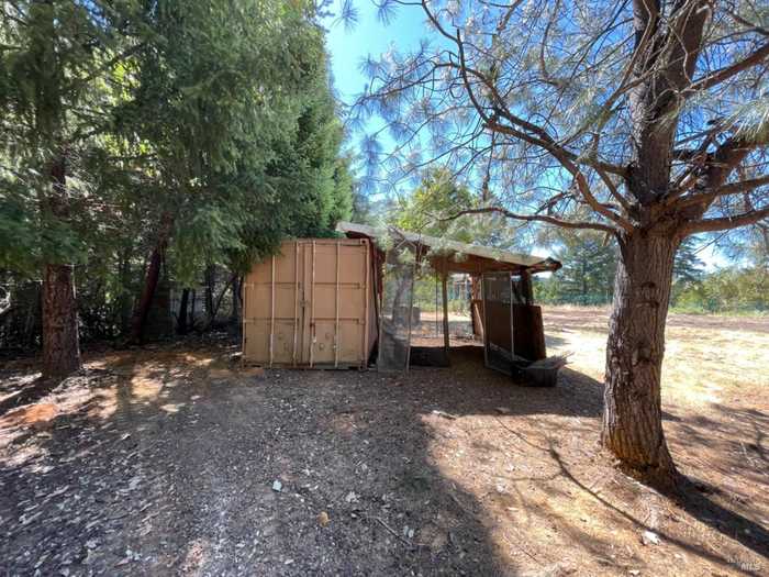 photo 17: 1200 Deer Trail Dr, Leggett CA 95585