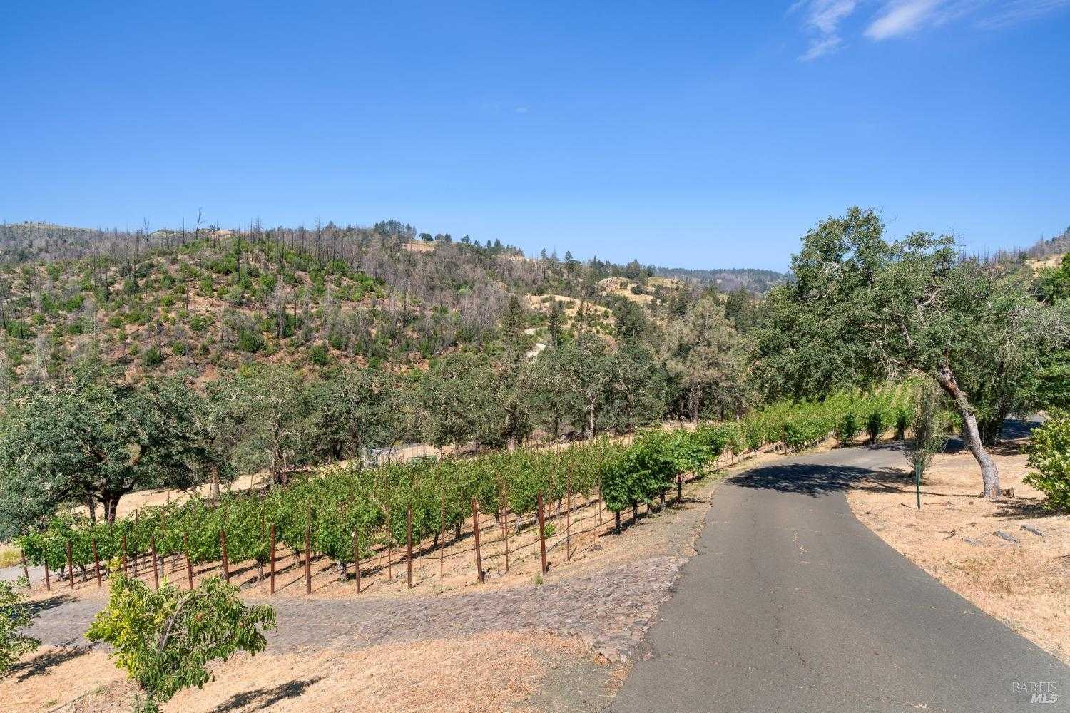 photo 1: 2910 Spring Mountain Rd, St. Helena CA 94574