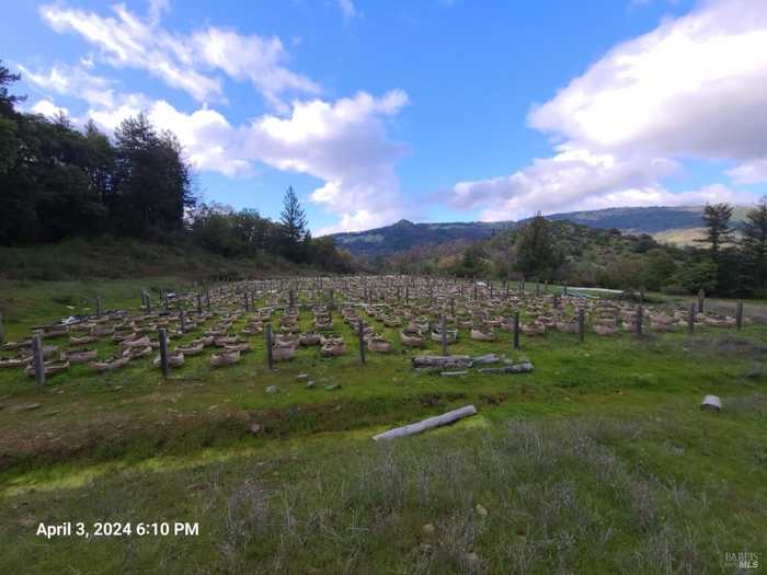 photo 2: 78577 Mina Rd, Covelo CA 95428