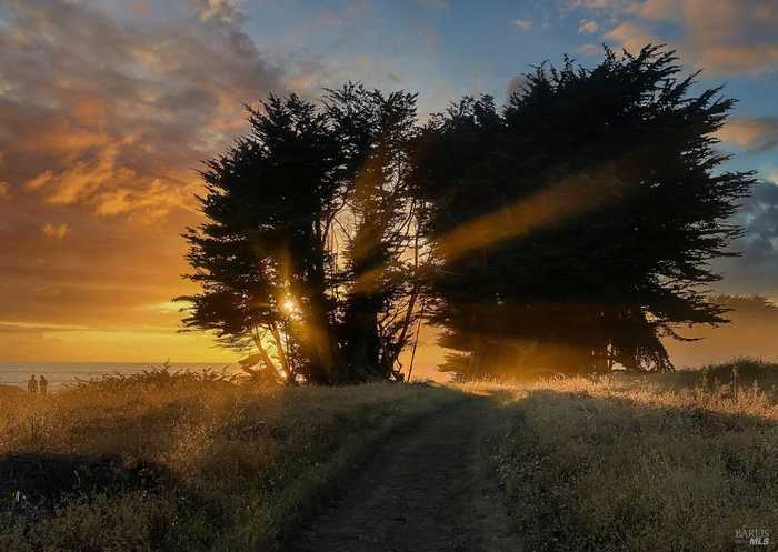 photo 17: 37722 Breaker Reach, The Sea Ranch CA 95497