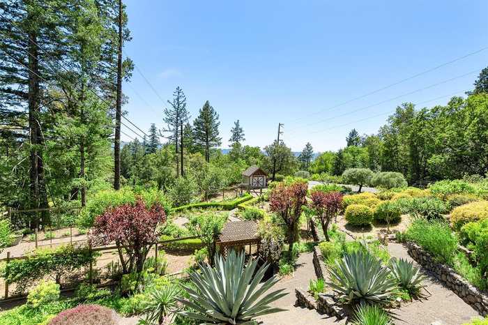 photo 2: 4461 Lake County Hwy, Calistoga CA 94515