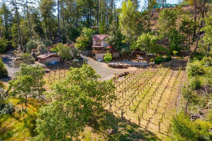 photo 36: 4034 Spring Mountain Rd, St. Helena CA 94574