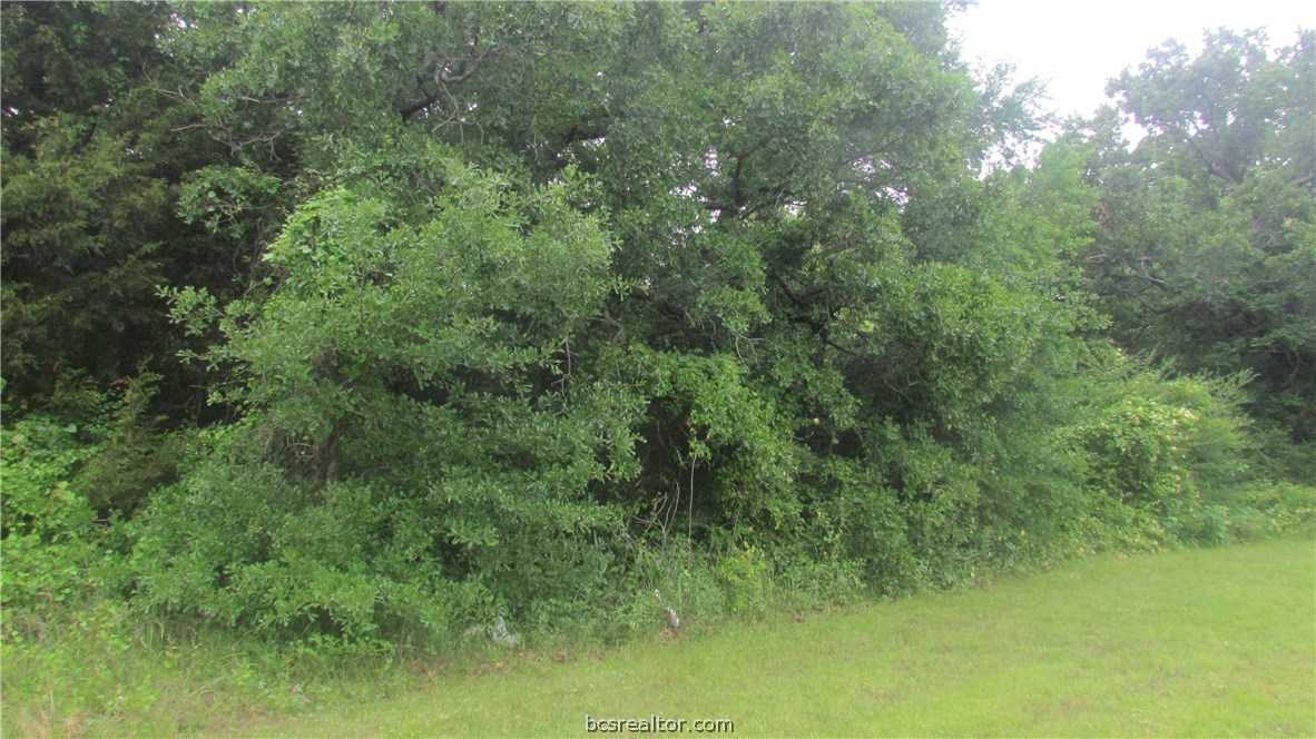 photo 1: 1015 W Villa Maria Road W, Bryan TX 77801