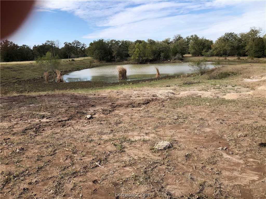 photo 2: 32.97 Acres E CR 121, Iola TX 77861