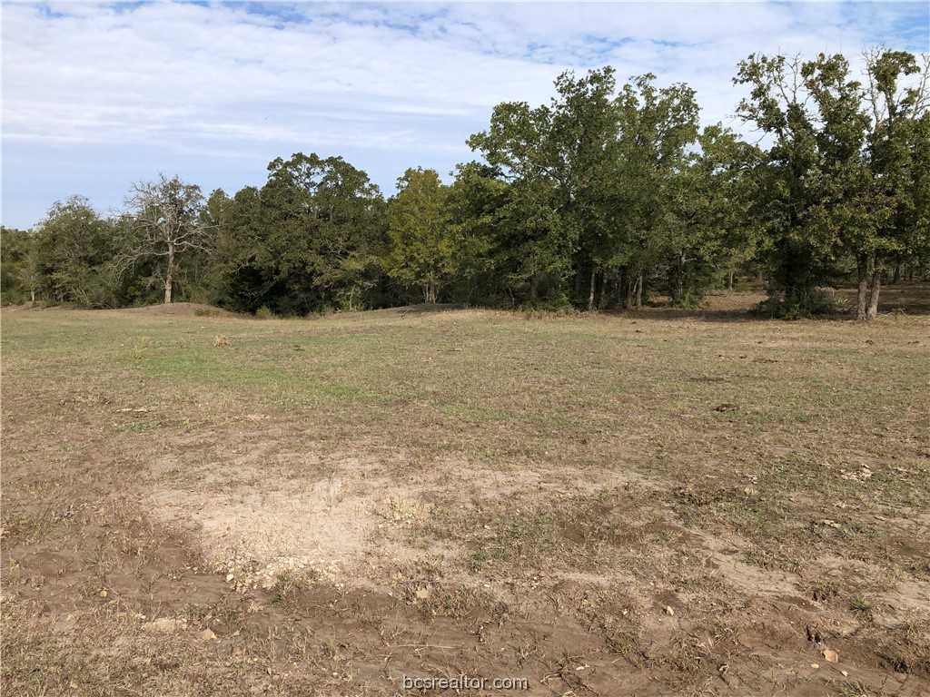 photo 3: 32.97 Acres E CR 121, Iola TX 77861