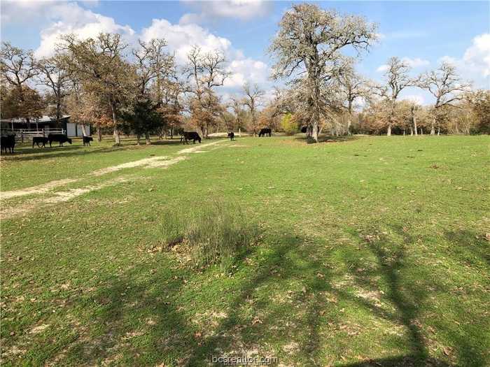 photo 2: 72.96 Acres E CR 121, Iola TX 77861