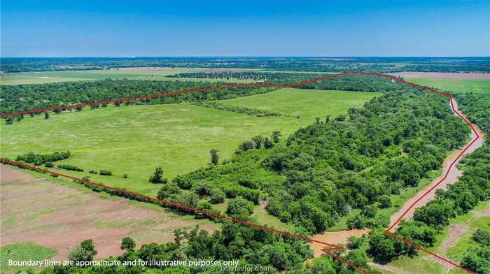 photo 2: TBD CR 443 (250.44 acres), Snook TX 77878