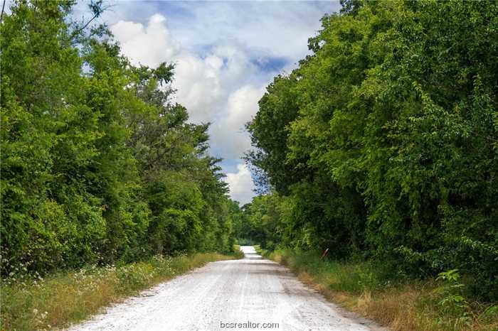 photo 1: TBD County Road 109, Iola TX 77861