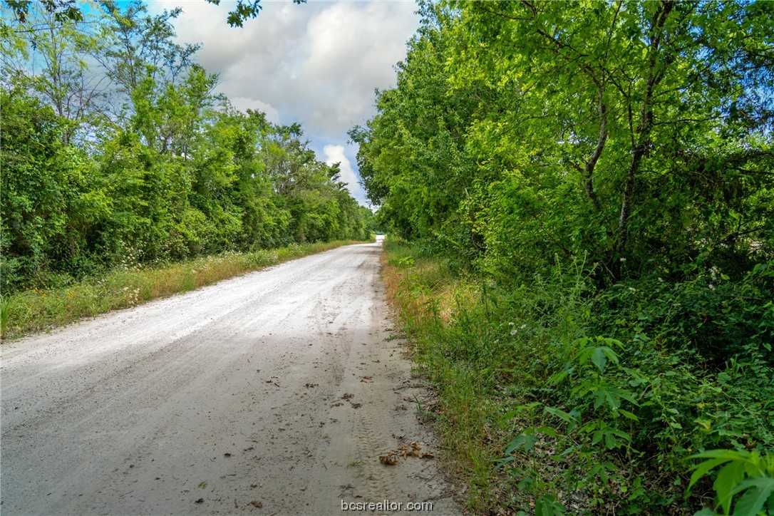 photo 2: TBD County Road 109, Iola TX 77861